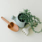 Dried Thyme Silicone Garden Set